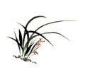 Chinese traditional distinguished gorgeous decorative hand-China, ink orchid Royalty Free Stock Photo