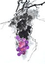 Chinese traditional distinguished gorgeous decorative hand-painted ink-Harvest grapes