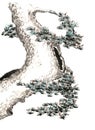 Chinese traditional distinguished gorgeous decorative hand-painted ink-pine tree