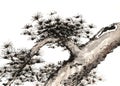 Chinese traditional distinguished gorgeous decorative hand-painted ink-pine tree