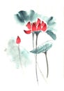 Chinese traditional distinguished gorgeous decorative hand-painted ink-water lily