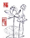 Chinese traditional distinguished gorgeous decorative hand-painted ink-water lily Royalty Free Stock Photo