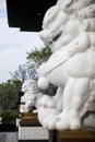 Chinese traditional house stone lion squatting in front of the gate Royalty Free Stock Photo