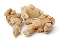 Chinese traditional medicine Chinses Angelica Angelica herb root