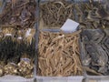 Chinese Traditional Medicine - Squid,Sea Horse,Lizard etc Royalty Free Stock Photo