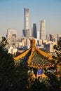 Chinese traditional and modern architecture, Chinese Zun, CITIC Tower, Central Business District