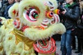 Chinese traditional new year lion dance