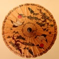 Chinese traditional oil paper umbrella, with a crane and ancient pine pattern