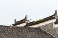 Traditional roof of ancient building