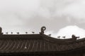 Chinese traditional roof with black headed gull Royalty Free Stock Photo