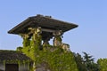 Chinese traditional roof with ivy