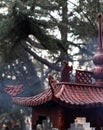 Chinese traditional temple\'s exquisitely carved incense burner in clear daylight.