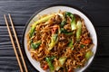 Chinese udon noodles with bok choy, shiitake and pepper close-up on a plate. Horizontal top view Royalty Free Stock Photo