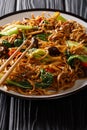 Chinese udon noodles with bok choy, shiitake and pepper close-up on a plate. vertical Royalty Free Stock Photo