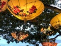 Lighted Chinese umbrellas hanging from trees at China Lights in Hales Corner, Wisconsin with hanging red Chinese lanterns