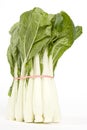 Chinese Vegetable (bok choy) Royalty Free Stock Photo