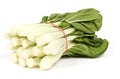 Chinese Vegetable (bok choy) Royalty Free Stock Photo