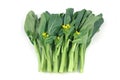 Chinese vegetable: Choy sum Royalty Free Stock Photo