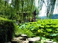 Chinese landscape, lake, lotus flowers and willow