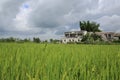 Chinese village in the field Royalty Free Stock Photo