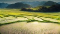 chinese village with house and rice fields