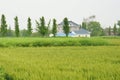 Chinese village houses and farm land Royalty Free Stock Photo