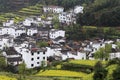 Chinese village in spring