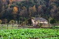 Chinese village YanCun,Wuyuan