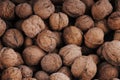 Chinese Walnut Royalty Free Stock Photo