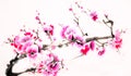 Chinese watercolor cherry painting