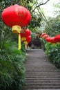 Chinese Wedding Lantern Royalty Free Stock Photo