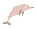 Chinese white dolphin icon vector illustration