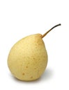 Chinese white pear