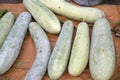 Chinese winter melon selling