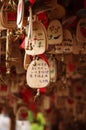 Chinese wishing wooden plaques