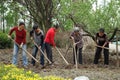 Chinese women are ploughing the field