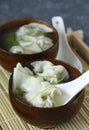 Chinese wonton soup with pork.