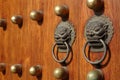 Chinese wooden door Royalty Free Stock Photo