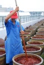 Chinese worker making Pixian Horsebean Chili Paste Royalty Free Stock Photo