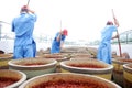 Chinese worker making Pixian Horsebean Chili Paste