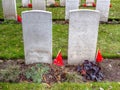 Chinese WWI graves, world war one, Flanders Fields Royalty Free Stock Photo