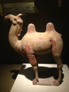 Chinese Xi`an museum exhibits ancient nobility for funerary art. The shape of the camel ceramics. The name of Tang Dynasty.