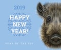 Happy New Year 2019 year of the pig paper card. Chinese years symbol, Zodiac sign for greetings card, flyers and