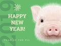 Happy New Year 2019 year of the pig paper card. Chinese years symbol, Zodiac sign for greetings card, flyers and invitation