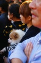 Chinese young women hold pet dogs in crowds watching entertainment