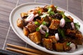 Chinese Yu Xiang Eggplant fried in soy sauce with ginger, garlic