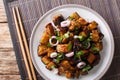 Chinese Yu Xiang Eggplant fried in soy sauce with ginger, garlic