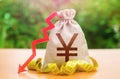 Chinese yuan or japanese yen money bag with down arrow and measure tape. Falling wages and welfare. Reduced wages, cuts in social Royalty Free Stock Photo