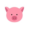 Chinese zodiac animal in flat style, pig. Vector illustration. Royalty Free Stock Photo