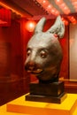 Chinese zodiac of rabbit year